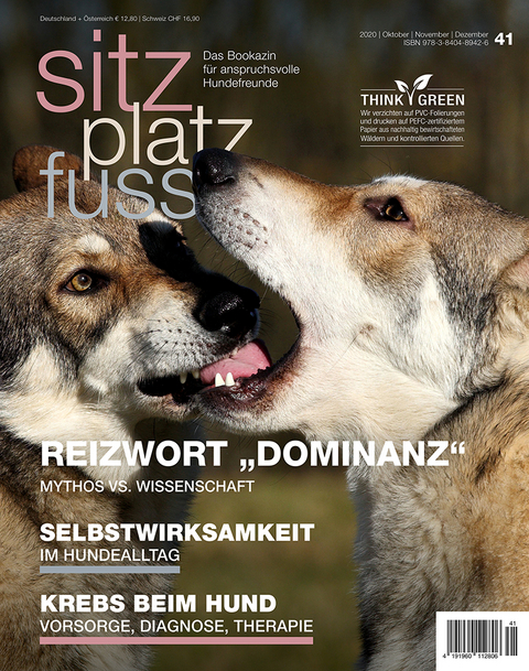 SitzPlatzFuss, Ausgabe 41 - 