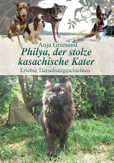 Philya, der stolze kasachische Kater - Anja Griesand