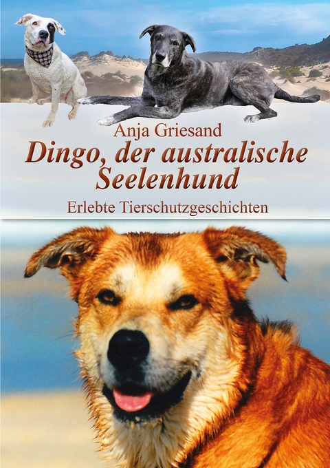 Dingo, der australische Seelenhund - Anja Griesand