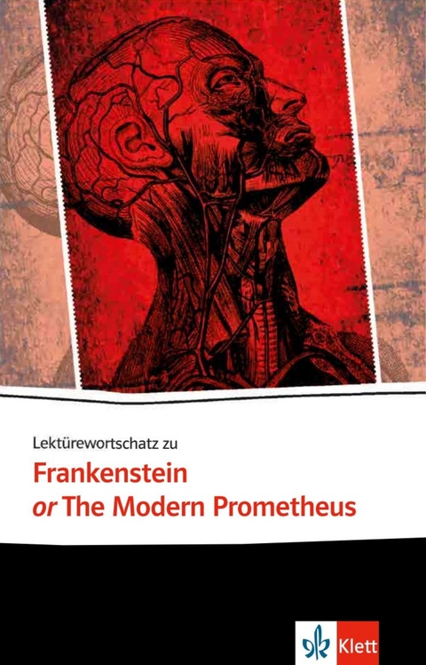 Lektürewortschatz zu Frankenstein or The Modern Prometheus - Franziska Heymann