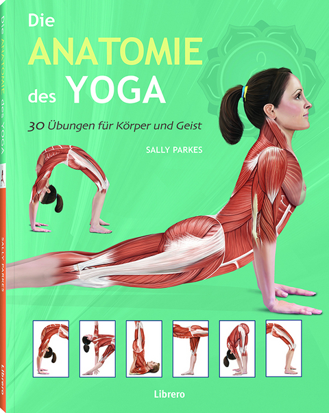 Die Anatomie des Yoga - Sally Parkes