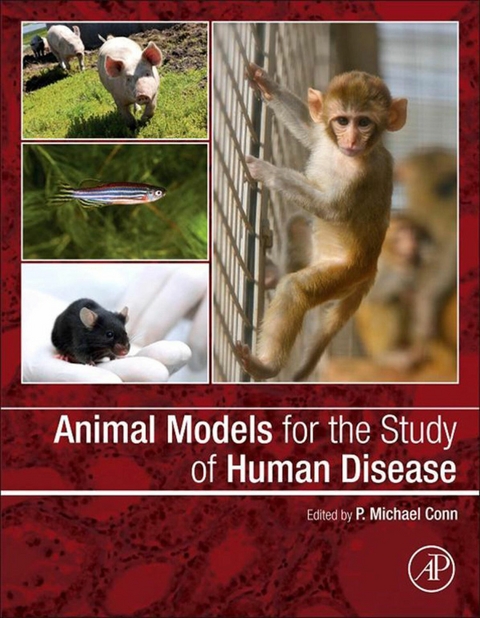 Animal Models for the Study of Human Disease - 