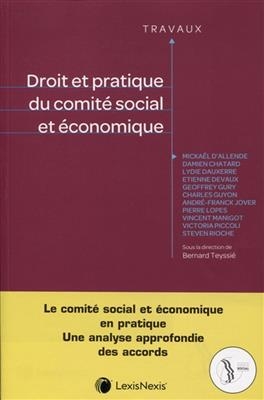 Droit et pratique du comit&eacute; social et &eacute;conomique