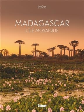 Madagascar : l'&icirc;le mosa&iuml;que - Marie-H&eacute;l&egrave;ne Paturel, Lionel Montico