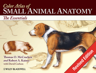 Color Atlas of Small Animal Anatomy