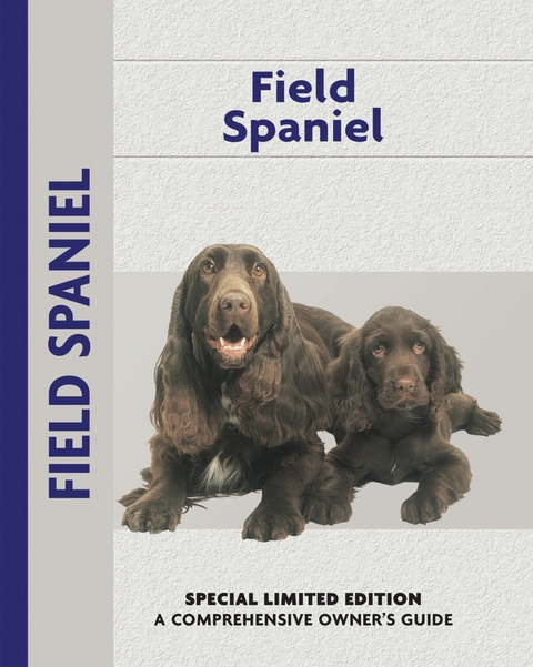 Field Spaniel - Becki Jo Hirschy