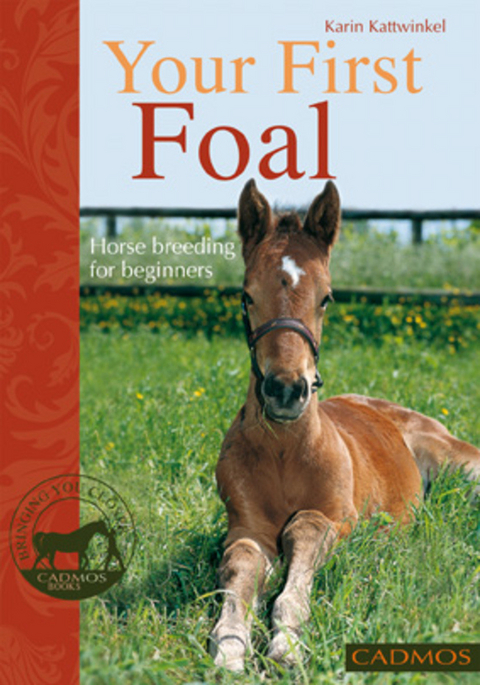 Your First Foal - Karin Kattwinkel