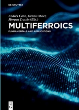 Multiferroics - 