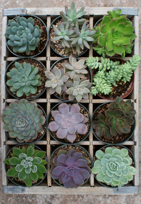 Ravensburger Puzzle Moment 12967 Green - 300 Teile Puzzle f&uuml;r Erwachsene und Kinder ab 8 Jahren