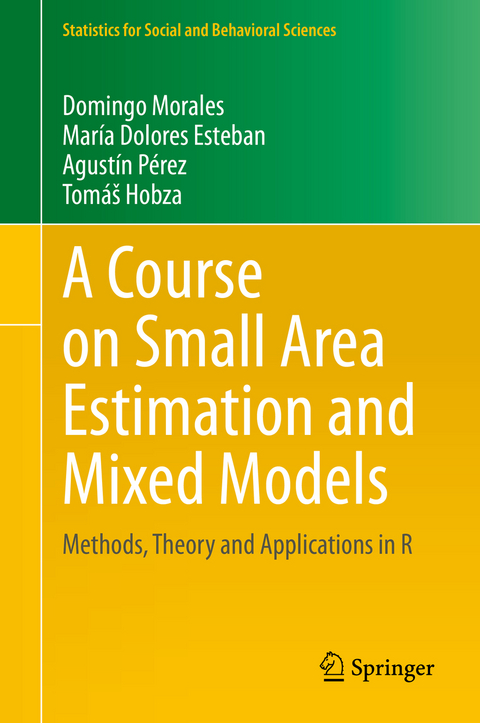 A Course on Small Area Estimation and Mixed Models - Domingo Morales, Mar&iacute;a Dolores Esteban, Agust&iacute;n P&eacute;rez, Tom&aacute;&scaron; Hobza