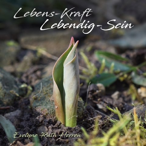 Lebens-Kraft Lebendig-Sein - Evelyne Ruth Herren