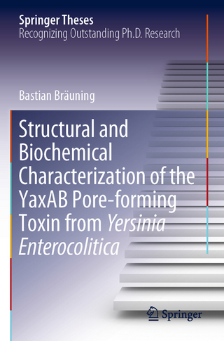 Structural and Biochemical Characterization of the YaxAB Pore-forming Toxin from Yersinia Enterocolitica