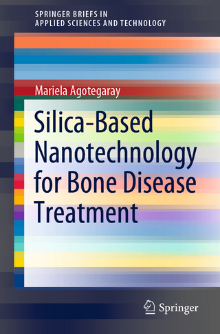 Silica-Based Nanotechnology for Bone Disease Treatment