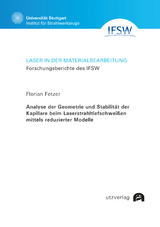 Analyse der Geometrie und Stabilit&auml;t der Kapillare beim Laserstrahltiefschwei&szlig;en mittels reduzierter Modelle - Florian Fetzer