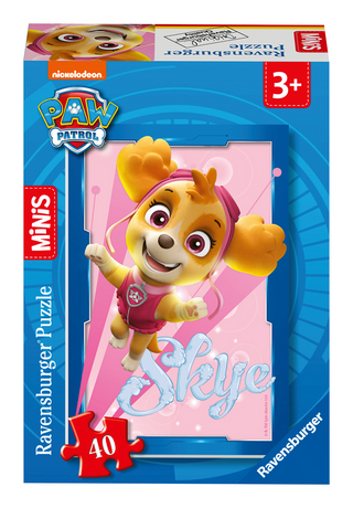 Paw Patrol 1 Minis