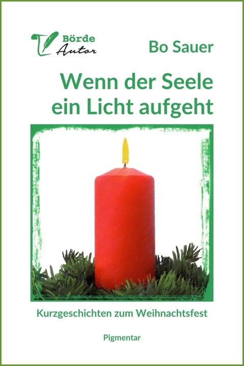 Wenn der Seele ein Licht aufgeht - Bo Sauer