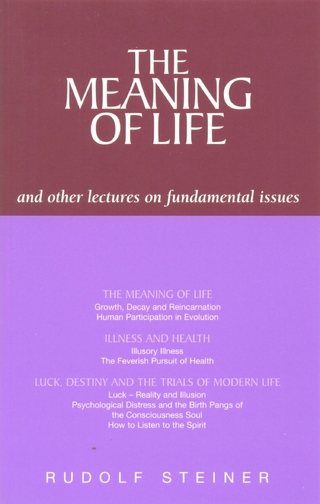 Meaning of Life and Other Lectures on Fundamental Issues