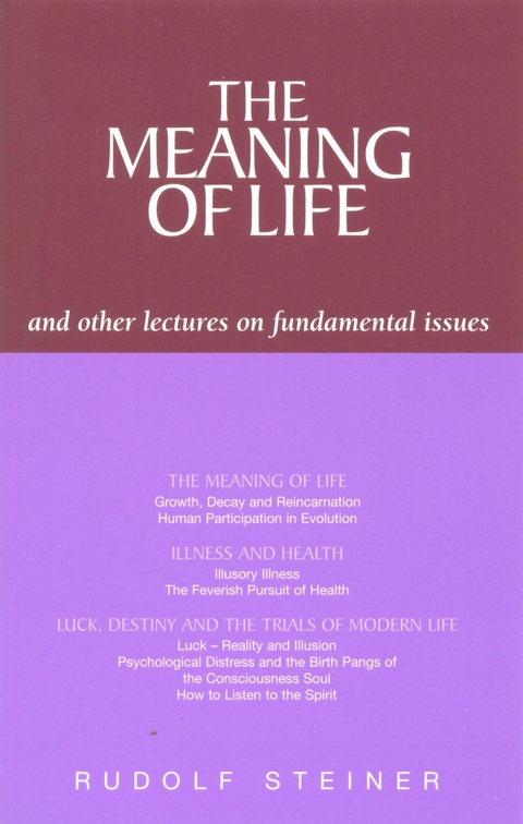 Meaning of Life and Other Lectures on Fundamental Issues -  Rudolf Steiner