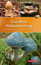 Grundkurs Pilzbestimmung - Lüder, Rita