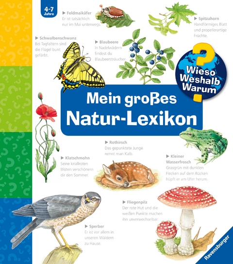 Wieso? Weshalb? Warum? Sonderband - Mein gro&szlig;es Natur-Lexikon - Sandra Noa