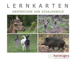 Lernkarten Ansprechen von Schalenwild