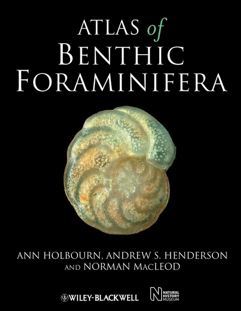 Atlas of Benthic Foraminifera - Ann Holbourn, Andrew S. Henderson, Norman MacLeod