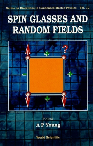 SPIN GLASSES & RANDOM FIELDS (V12)