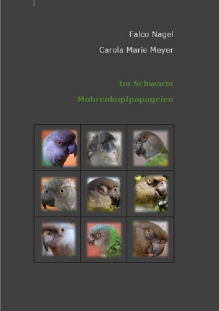 Im Schwarm Mohrenkopfpapageien