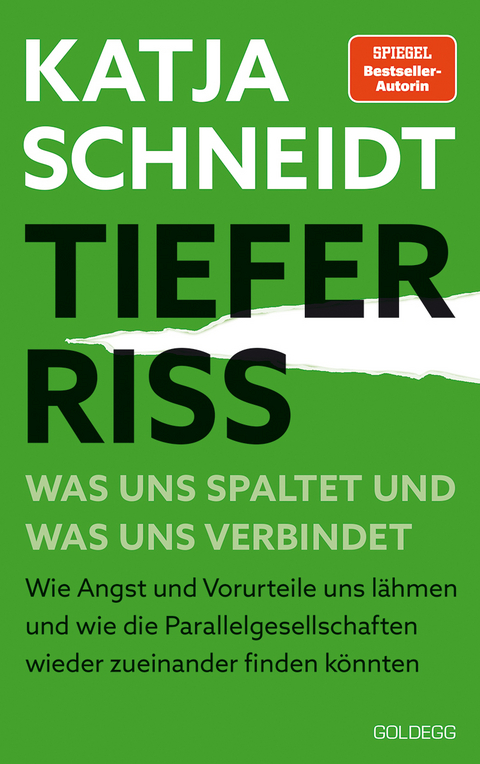 Tiefer Riss - Was uns spaltet und was uns verbindet - Katja Schneidt