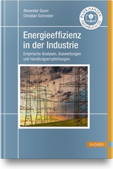 Energieeffizienz in der Industrie - Alexander Sauer, Christian Schneider