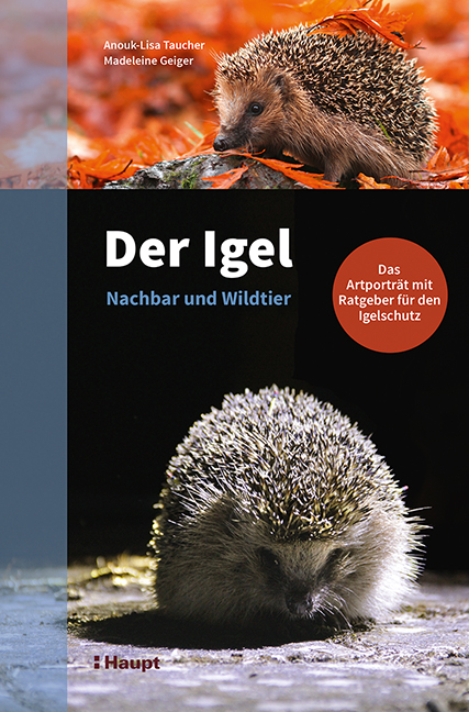 Der Igel &ndash; Nachbar und Wildtier - Anouk-Lisa Taucher, Madeleine Geiger