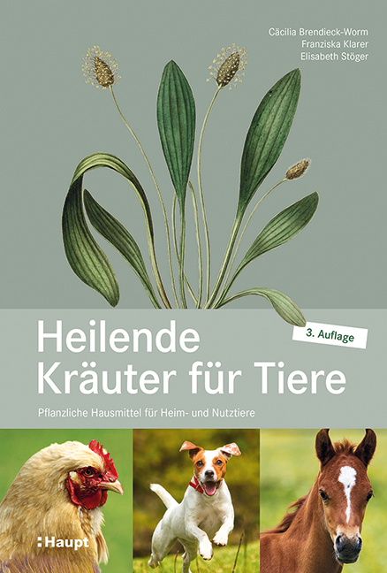 Heilende Kräuter für Tiere - Cäcilia Brendieck-Worm, Elisabeth Stöger, Franziska Klarer