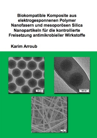 Biokompatible Komposite aus elektrogesponnenen Polymer Nanofasern und mesoporösen Silica Nanopartikeln für die kontrollierte Freisetzung antimikrobieller Wirkstoffe