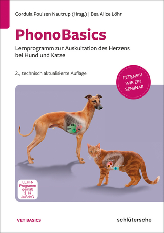 PhonoBasics DVD