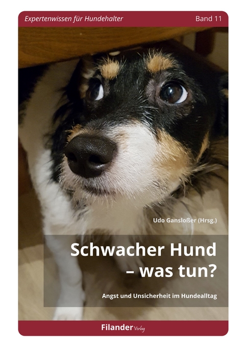 Schwacher Hund &ndash; Was tun? - 
