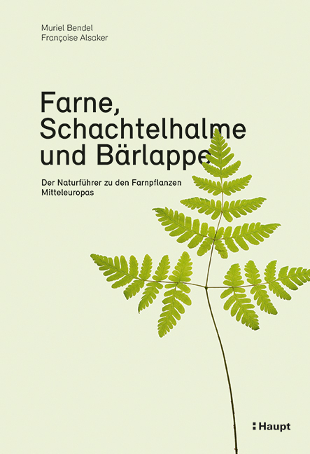 Farne, Schachtelhalme und B&auml;rlappe - Muriel Bendel