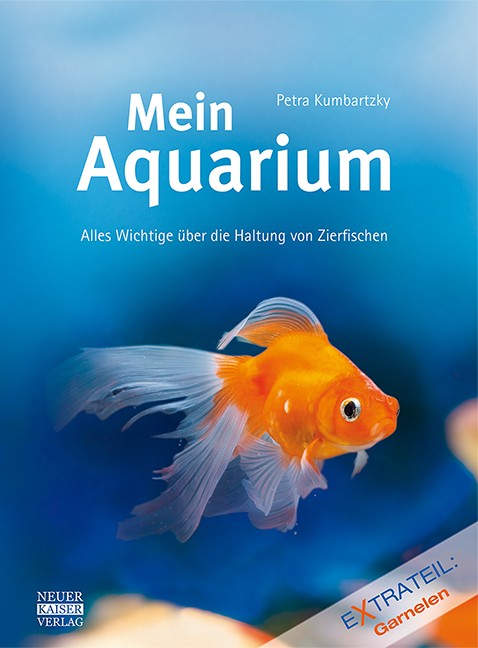 Mein Aquarium - Petra Kumbartzky