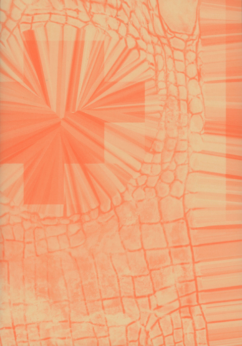 Nico Joana Weber &ndash; Tropic Telecom - Kerstin Meincke, Barbara J. Scheuermann, Stephan Berg