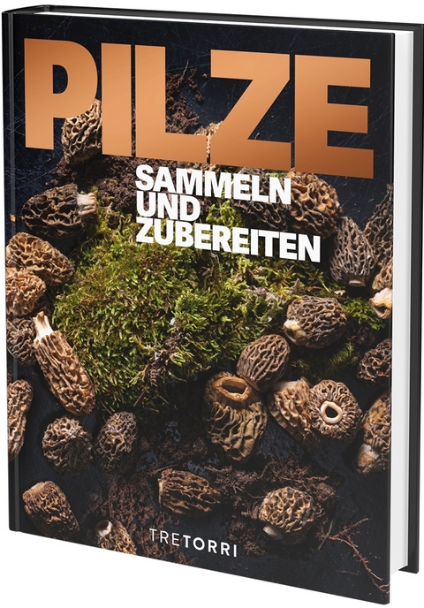 PILZE - 