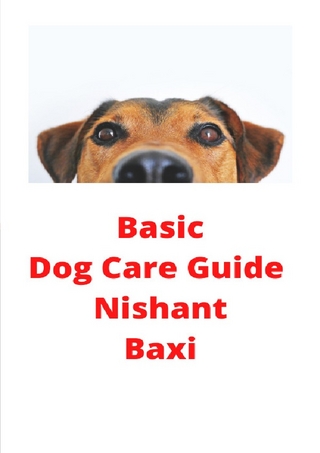 Basic Dog Care Guide