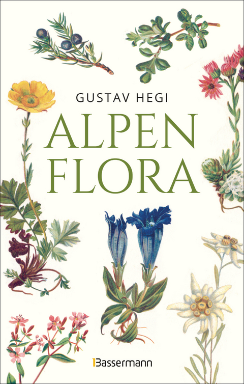 Alpenflora - der erste umfassende Naturf&uuml;hrer der alpinen Pflanzenwelt. &Uuml;ber 260 detaillierte, handgezeichnete Illustrationen und genaue Beschreibungen - Gustav Hegi