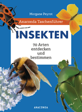 Anaconda Taschenf&uuml;hrer Insekten. 70 Arten entdecken und bestimmen - Morgane Peyrot, Lise Herzog