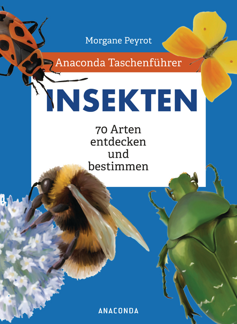 Anaconda Taschenf&uuml;hrer Insekten. 70 Arten entdecken und bestimmen - Morgane Peyrot, Lise Herzog