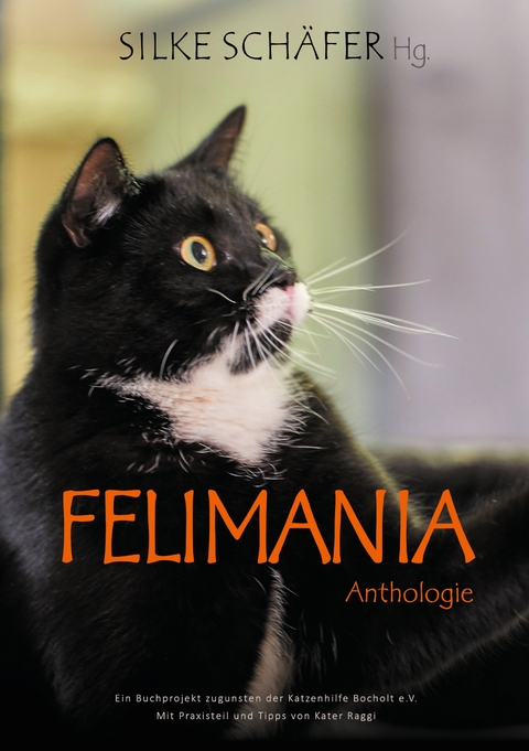 Felimania - 