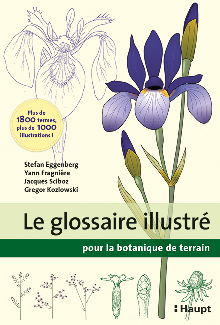 Le glossaire illustr&eacute; pour la botanique de terrain - Stefan Eggenberg, Yann Fragni&egrave;re, Jacques Sciboz, Gregor Kozlowski