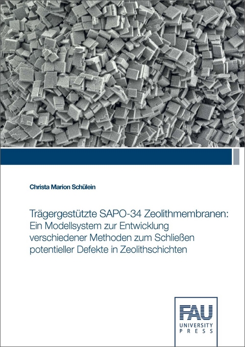 Tr&auml;gergest&uuml;tzte SAPO-34 Zeolithmembranen - Christa Marion Sch&uuml;lein