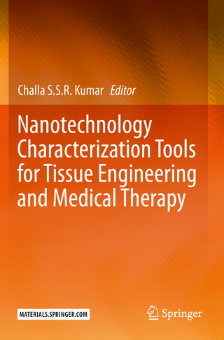 Nanotechnology Characterization Tools for Tissue Engineering and Medical Therapy