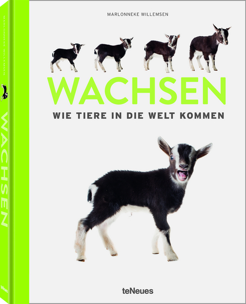 Wachsen - Marlonneke Willemsen