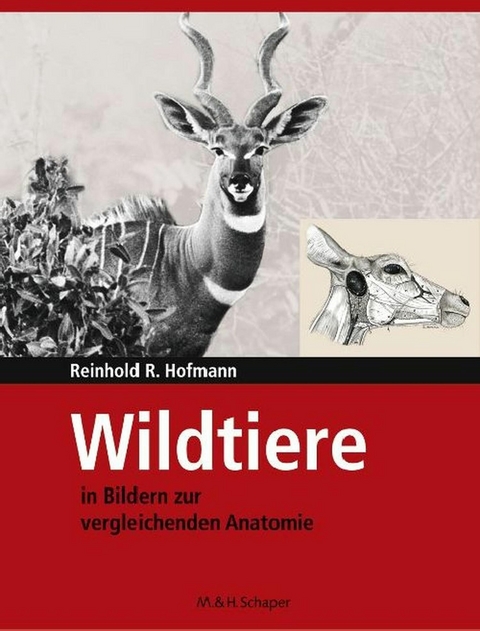 Wildtiere in Bildern zur Vergleichenden Anatomie - Reinhold R. Hofmann