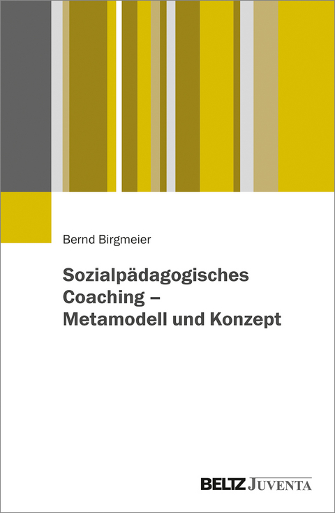 Sozialp&auml;dagogisches Coaching &ndash; Metamodell und Konzept - Bernd Birgmeier